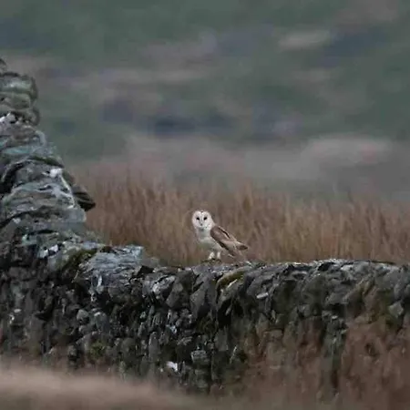 Kingsdale Head בית נופש *